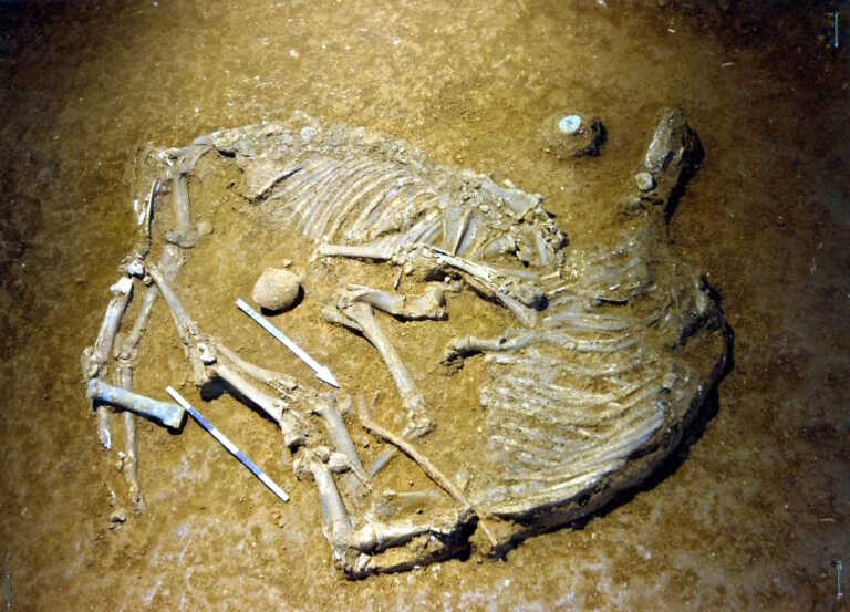 Βρέθηκε και άλλος ανθρώπινος σκελετός στην Εύβοια - Οι πρώτες εκτιμήσεις για τα λείψανα