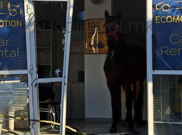 Αφηνιασμένο άλογο έκανε γυαλιά - καρφιά επιχείρηση με ενοικιαζόμενα αυτοκίνητα στη Νικήτη Χαλκιδικής