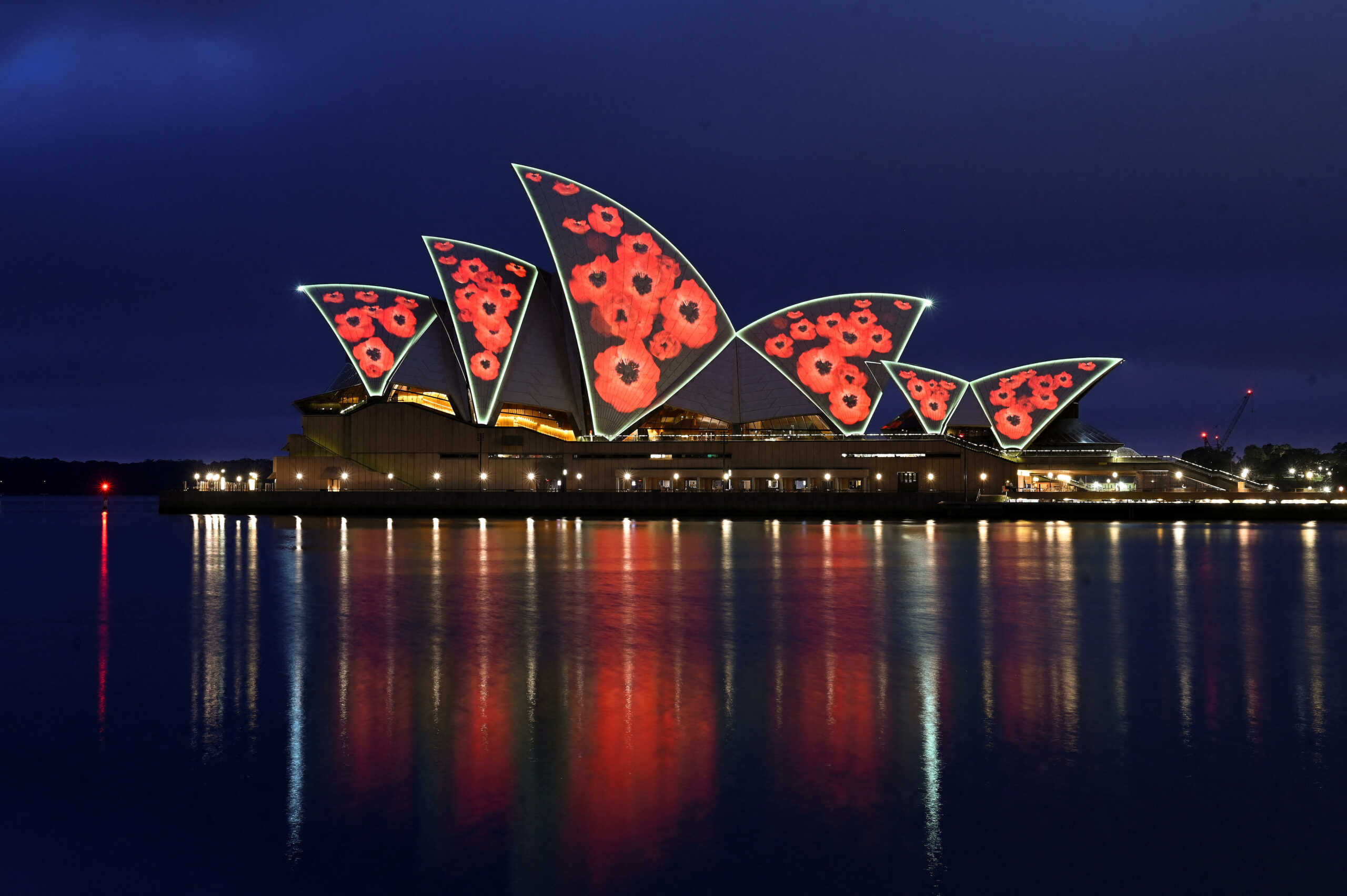 The sails of the Sydney Opera House are illuminated with poppies at dawn to mark Remembrance Day in Sydney, Australia, November 11, 2023. REUTERS
