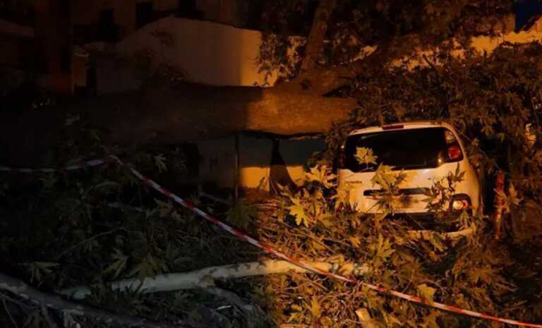 Απίστευτες εικόνες στη Θεσσαλονίκη με πλάτανο να ξεριζώνεται και να καταπλακώνει δύο αυτοκίνητα