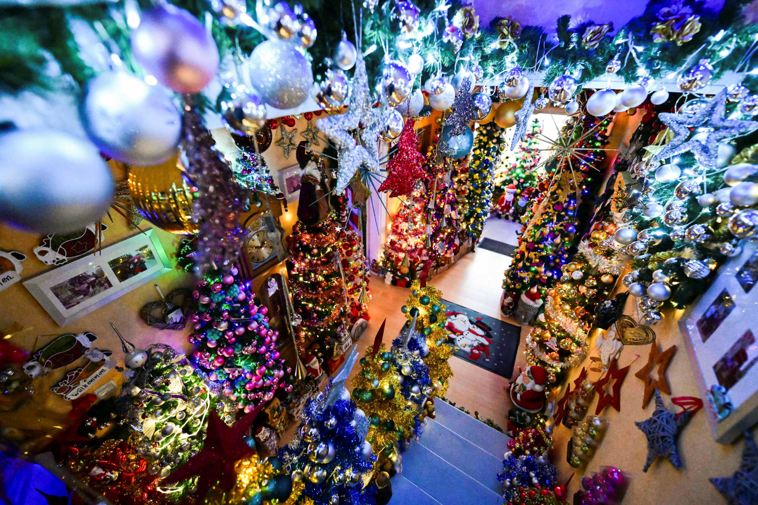 A view of the hallway of Susanne and Thomas Jeromin's home, the official world record holders with their 555 decorated Christmas trees in one home, is seen in Rinteln, west of Hanover, Germany, November 30, 2023. REUTERS