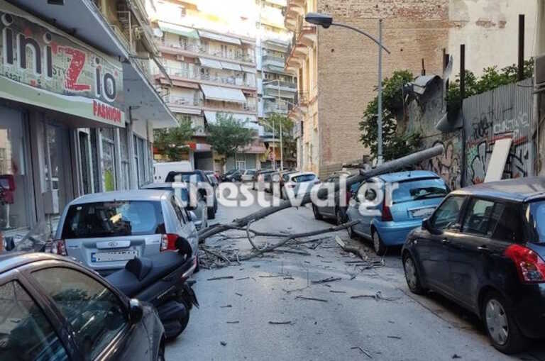 Πέφτουν δέντρα λόγω των θυελλωδών ανέμων στη Θεσσαλονίκη, ζημιές σε αυτοκίνητα