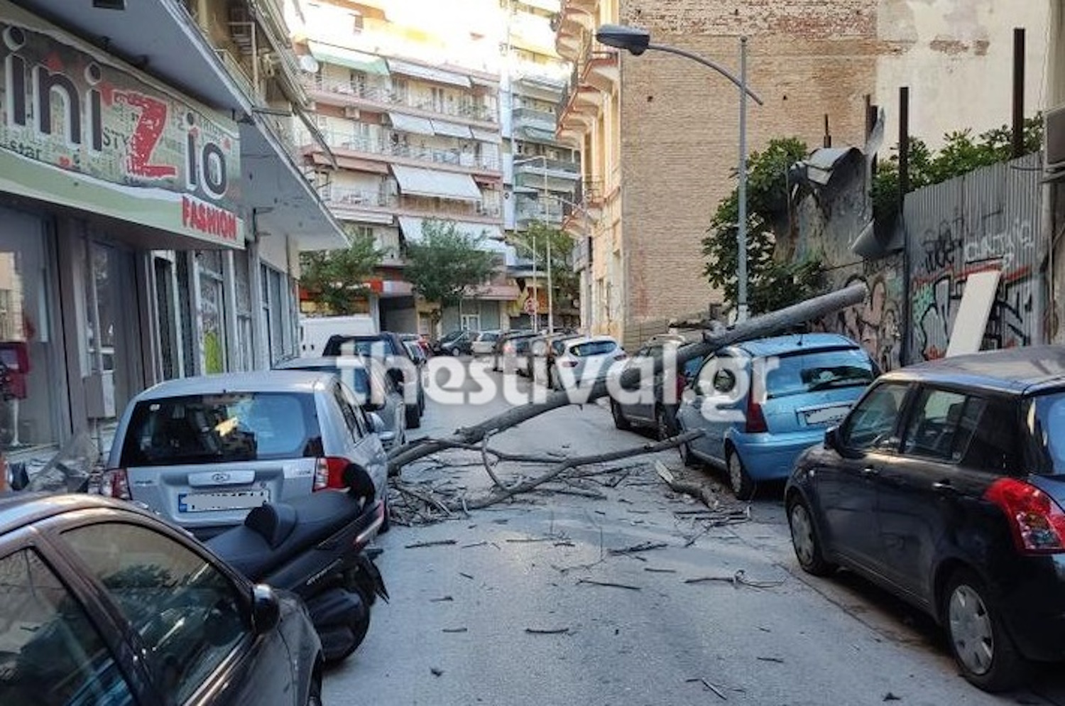 Καιρός – Θεσσαλονίκη: Πέφτουν δέντρα λόγω των θυελλωδών ανέμων, ζημιές σε αυτοκίνητα
