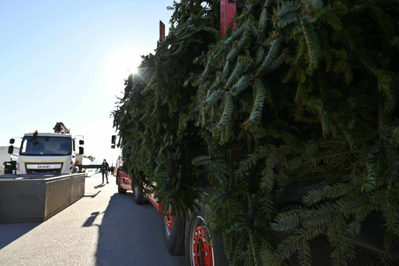 Θεσσαλονίκη: Έφτασε στην Πλατεία Αριστοτέλους το έλατο ύψους 17 μέτρων – Στις 7 Δεκεμβρίου η φωταγώγησή του