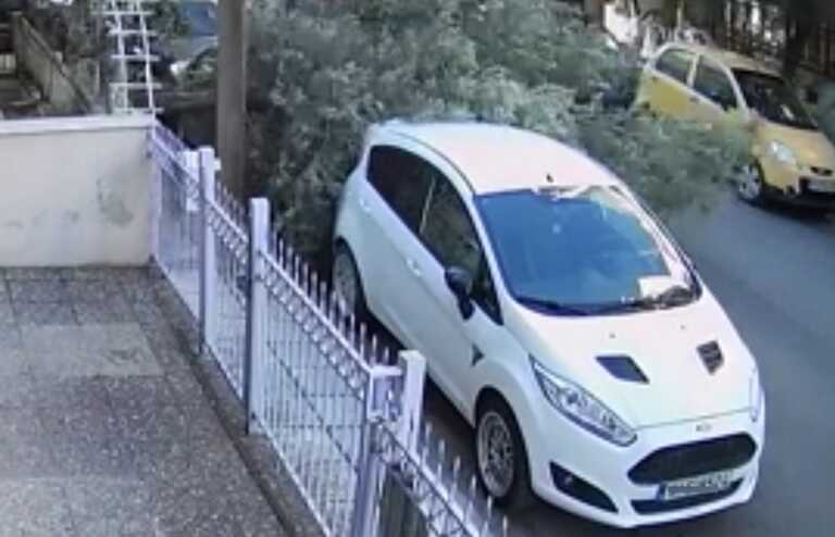 Η στιγμή που δέντρο καταπλακώνει αυτοκίνητο - Δείτε τη σκηνή στη Θεσσαλονίκη από κάμερα ασφαλείας