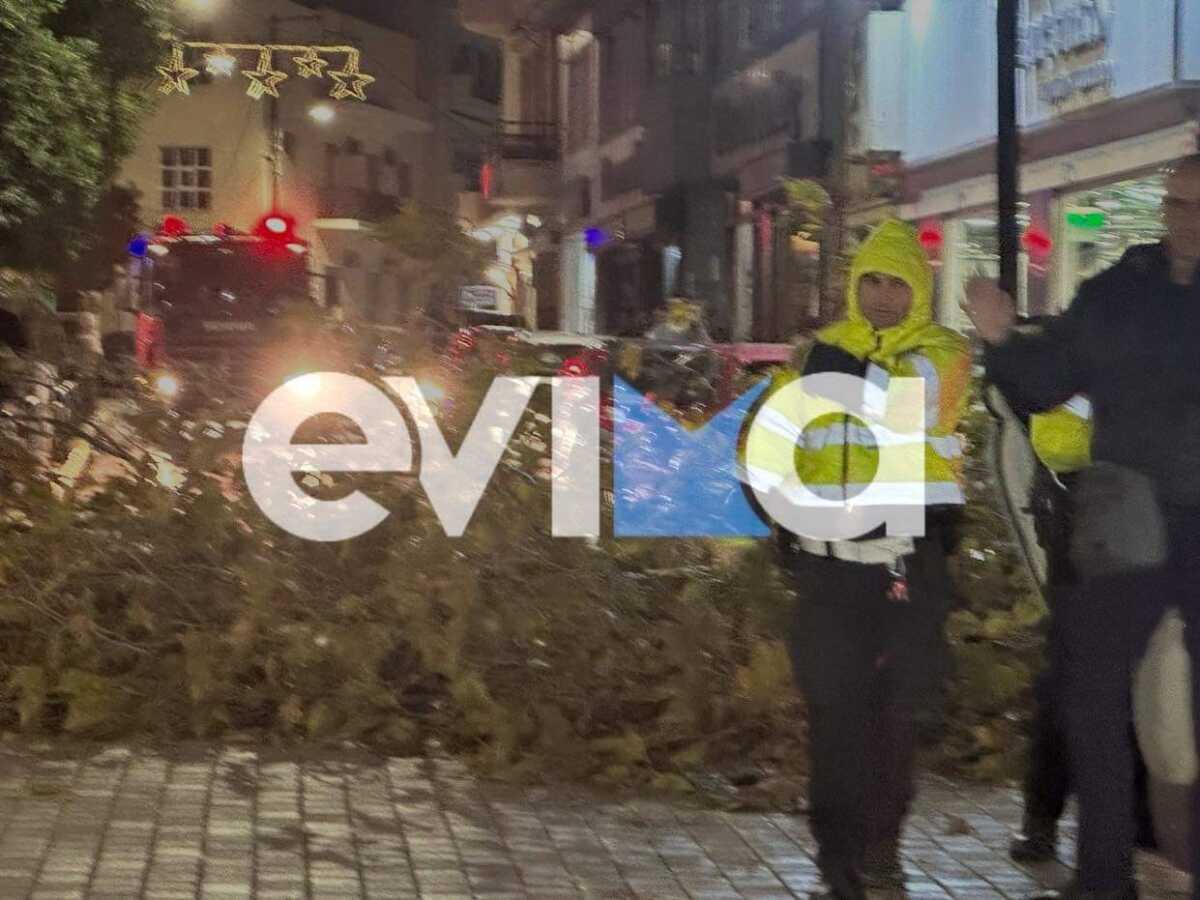 Καιρός – Εύβοια: Καταστροφές λόγω της κακοκαιρίας Bettina, δέντρα ξεριζώθηκαν και έπεσαν σε αυτοκίνητα και σπίτια