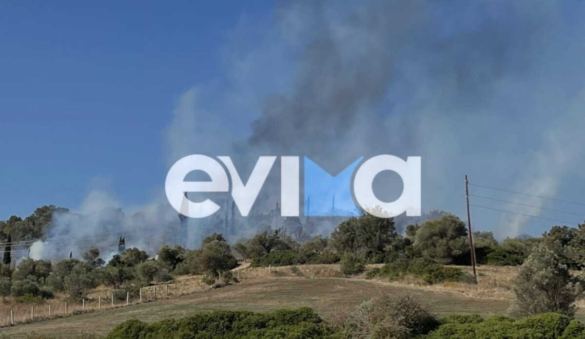 Εύβοια: Νέα φωτιά, καίει μέσα στον οικισμό της Δάφνης