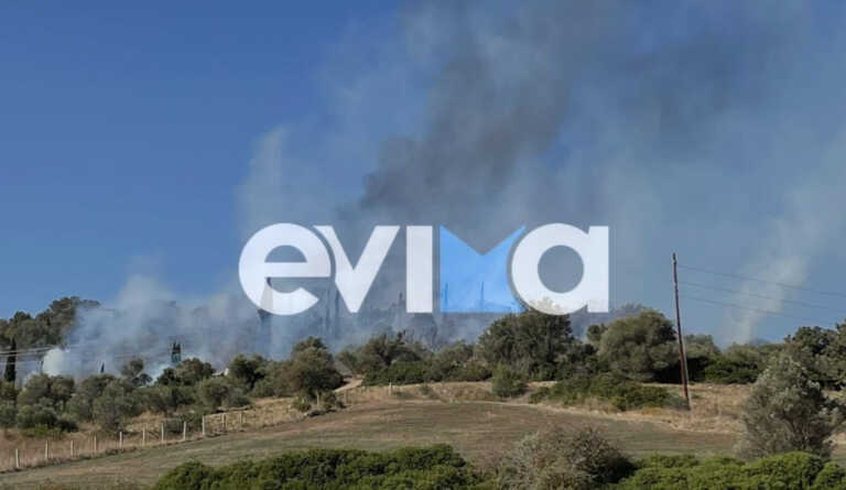 Νέα φωτιά στην Εύβοια - Καίει μέσα στον οικισμό της Δάφνης