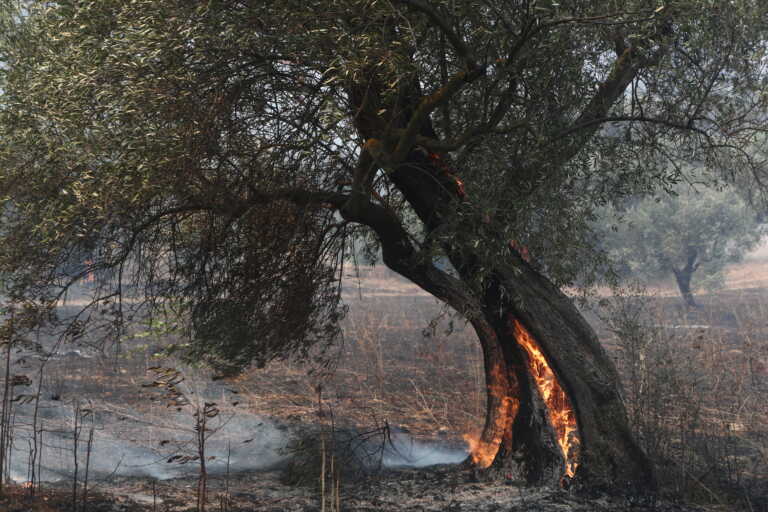 Τα μέτρα για την αποκατάσταση των πληγέντων από τις πυρκαγιές σε Έβρο, Θεσσαλία - Πλήρης εξομοίωση με τις πλημμύρες