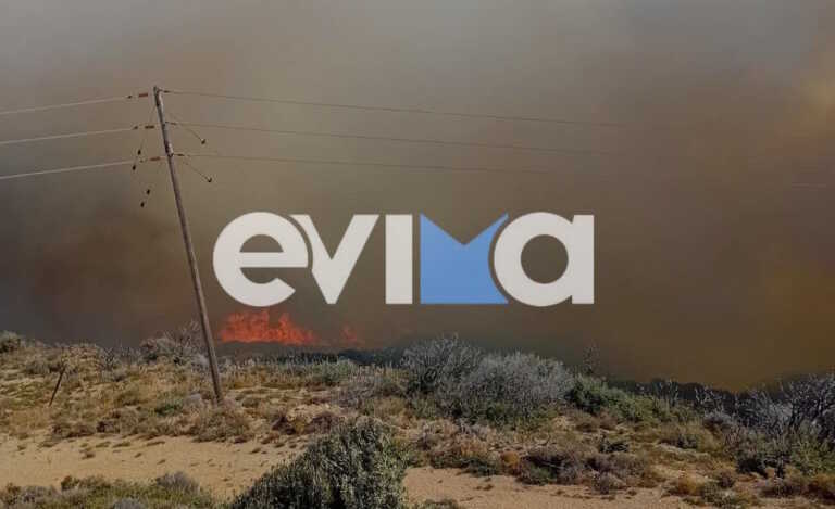 Φωτιά στην Κάρυστο Ευβοίας - Εκκενώνεται το χωριό Αμυγδαλιά, απειλούνται σπίτια
