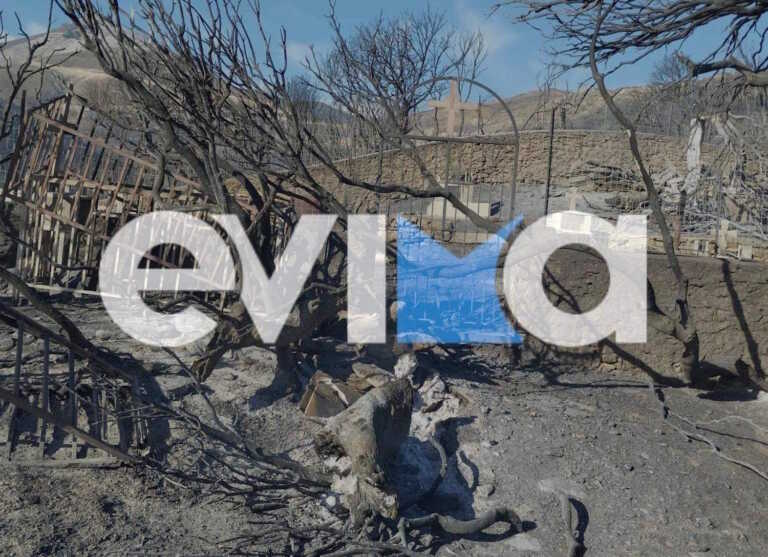 Κρανίου τόπος στην Αμυγδαλιά - Μεγάλες καταστροφές από τη φωτιά στην Κάρυστο