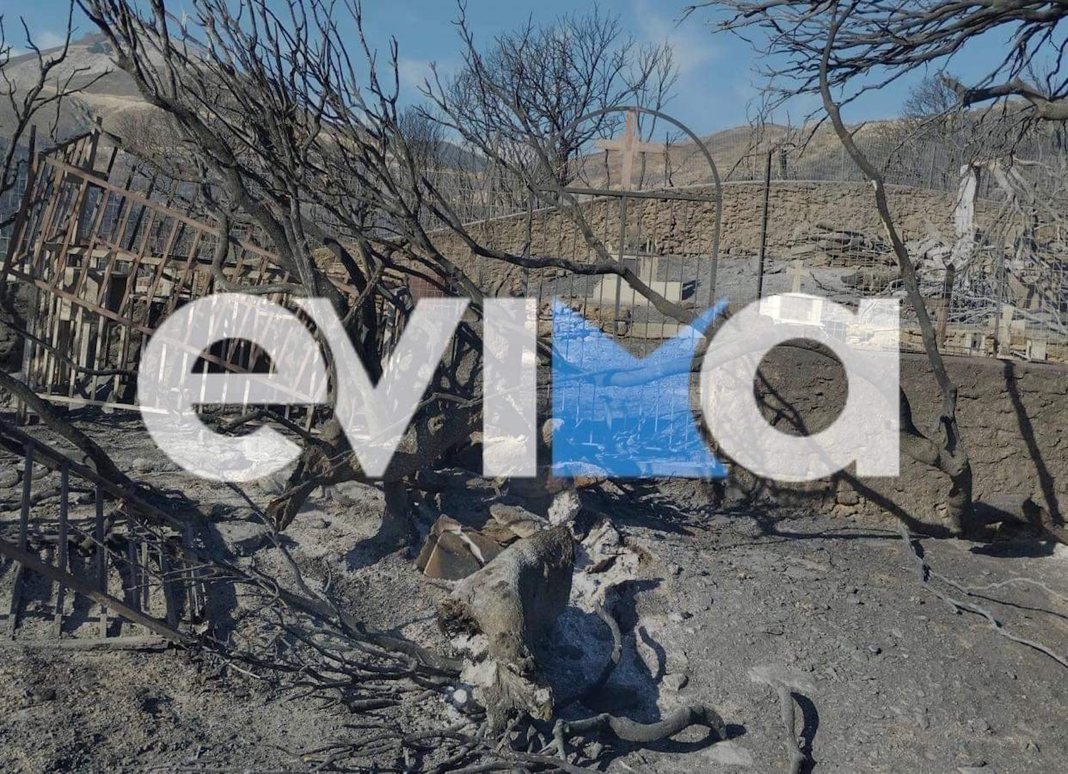 Φωτιά στην Κάρυστο: Μεγάλες καταστροφές από τις φλόγες στην Αμυγδαλιά