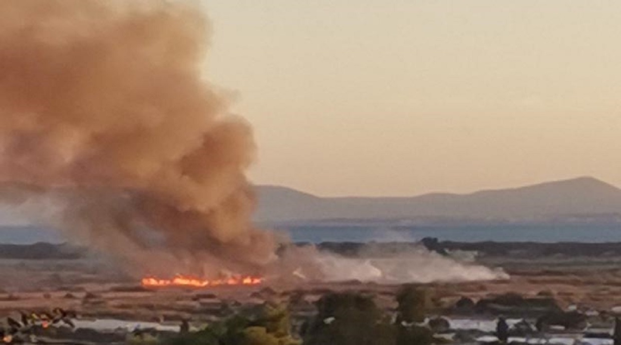 Φωτιά στον Σχοινιά Μαραθώνα δίπλα στο κωπηλατοδρόμιο – Μεγάλη κινητοποίηση της πυροσβεστικής