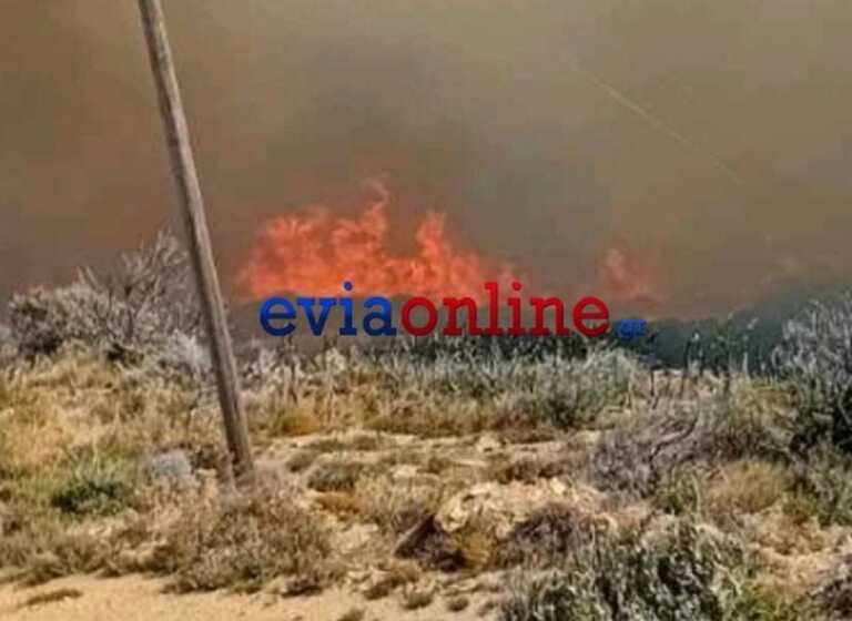Εκκενώθηκαν τα χωριά Αμυγδαλιά και Πρινιά λόγω της μεγάλης φωτιάς στην Κάρυστο – Κινδυνεύουν σπίτια, ζώα και στάβλοι