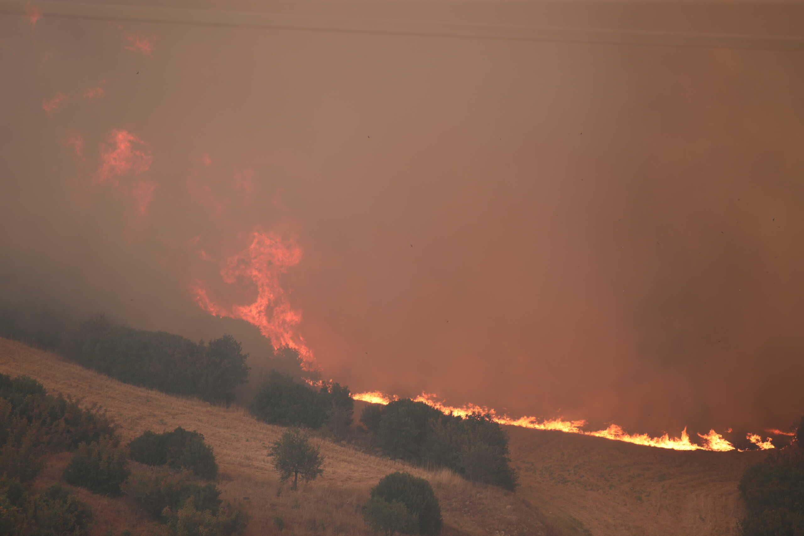 Φωτιά στο Ηράκλειο στην περιοχή Δαμάνια – Ισχυρές δυνάμεις στο σημείο