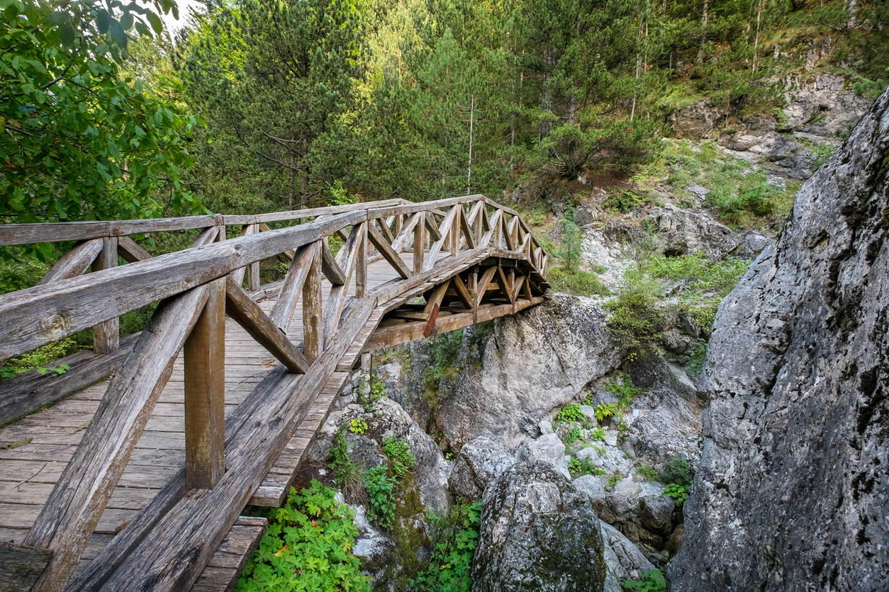 Wooden bridge over a river in the mountains of Olympus. Prionia, Greece