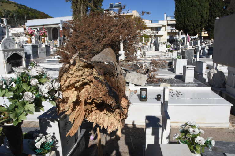 Ανατριχιαστικές φωτογραφίες στο νεκροταφείο του Άργους με πτώσεις ολόκληρων δέντρων σε μνήματα