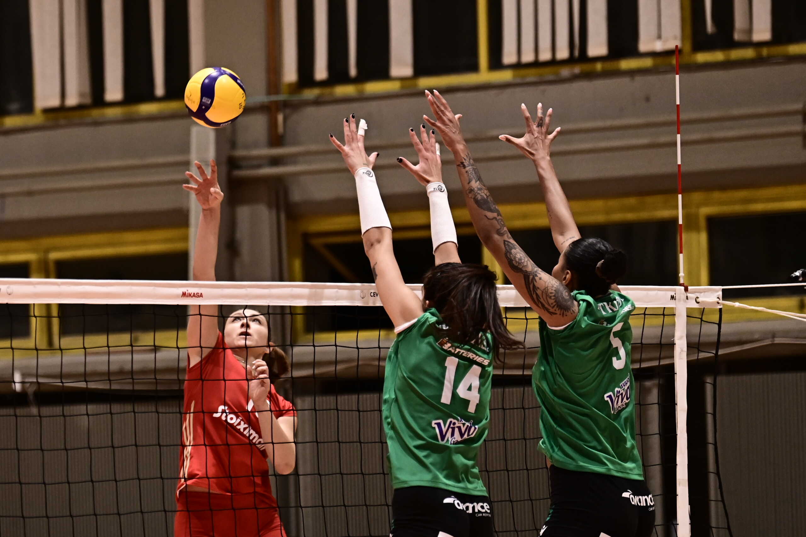 VOLLEY LEAGUE ΓΥΝΑΙΚΩΝ 2023-2024