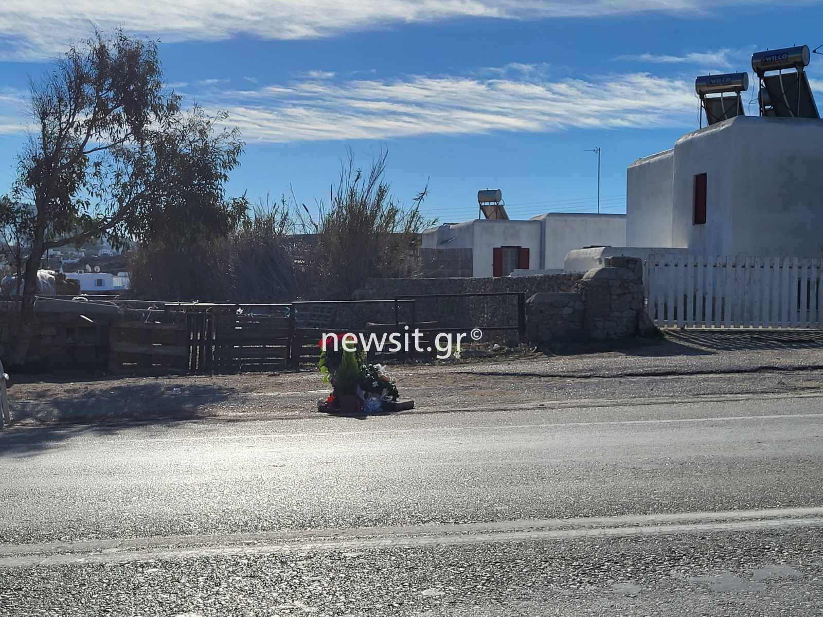 Μύκονος: Σε σοκ η οικογένεια του 39χρονου Μιχάλη που έπεσε νεκρός όταν τον χτύπησε αγελάδα στην καρδιά