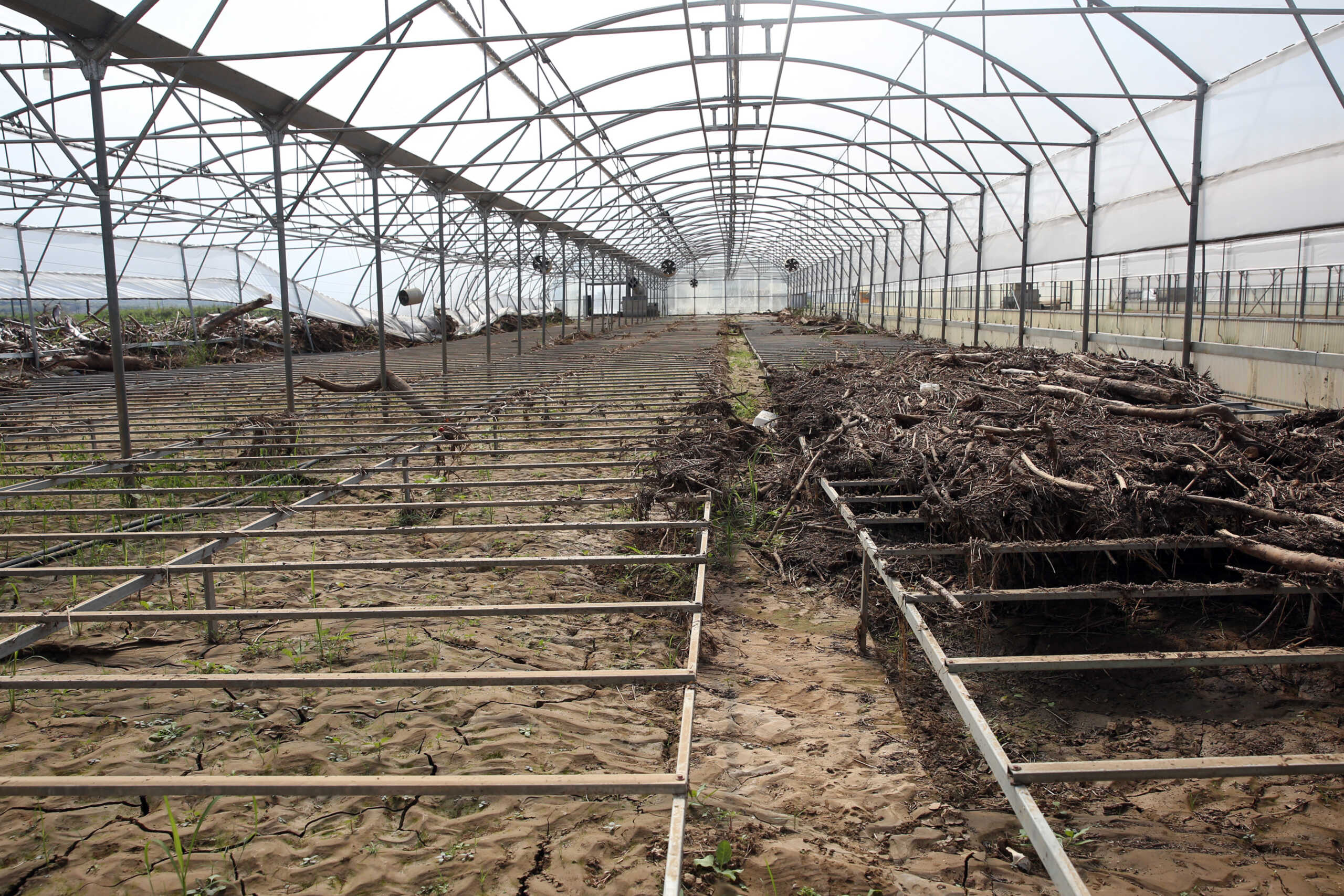 Θεσσαλία: Σήμερα η προκαταβολή σε 2.035 κτηνοτρόφους – Την ερχόμενη εβδομάδα οι πληρωμές για τη φυτική παραγωγή