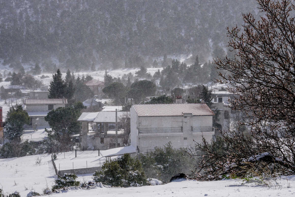 Χιονόπτωση στα Βίλια Αττικής, Δευτέρα 6 Φεβρουαρίου 2023. Σε πλήρη εξέλιξη βρίσκεται η κακοκαιρία Μπάρμπαρα, που έχει επηρεάσει τη χώρα από το βράδυ του Σαββάτου (4
(ΓΙΩΡΓΟΣ ΚΟΝΤΑΡΙΝΗΣ