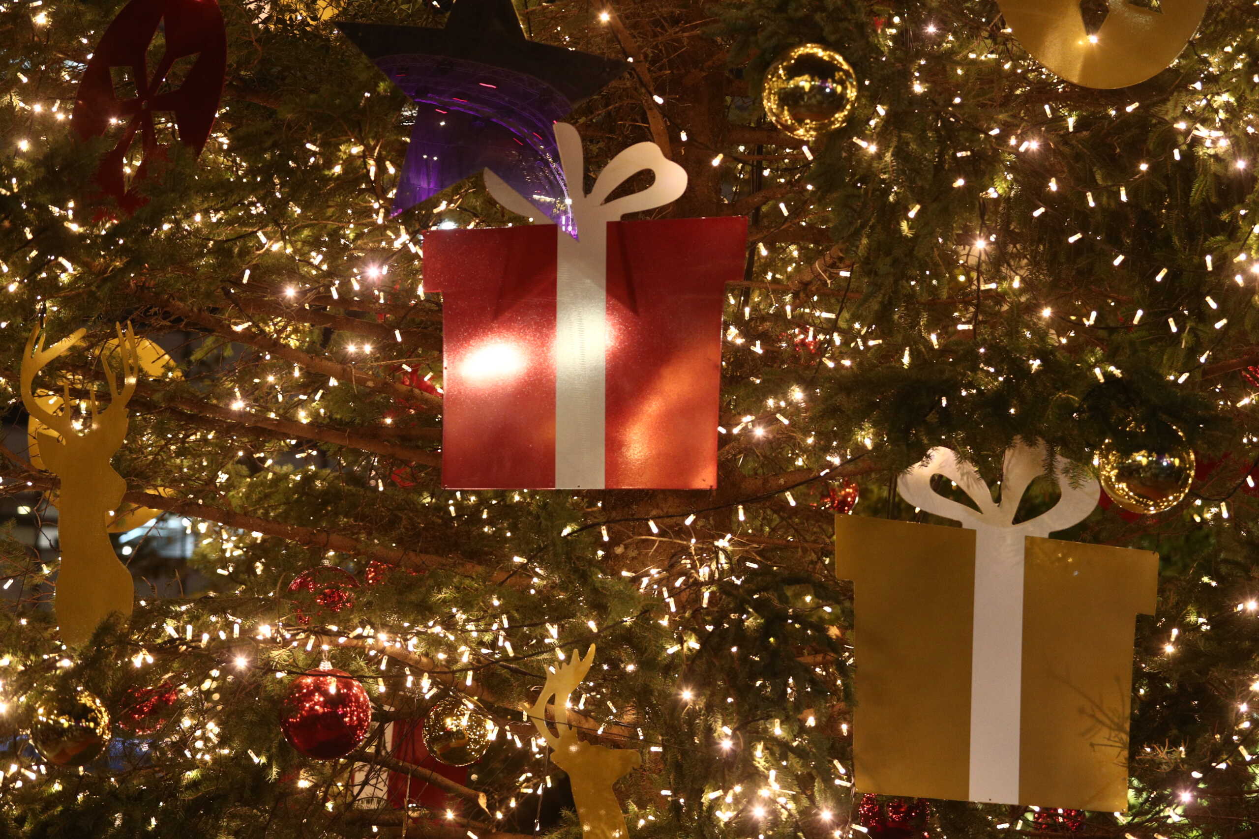 Χανιά: Την Παρασκευή 8 Δεκεμβρίου η φωτοδότηση του χριστουγεννιάτικου δέντρου της πόλης