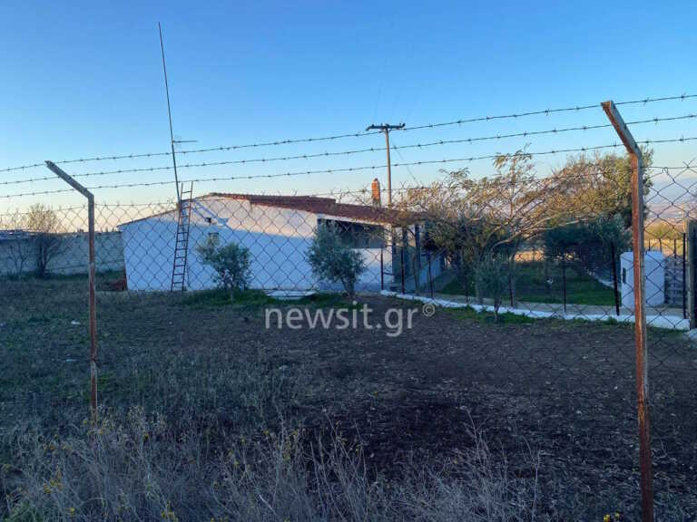 Για κακούργημα ο 37χρονος ιδιοκτήτης των σκύλων που επιτέθηκαν και σκότωσαν την 50χρονη στη Θεσσαλονίκη - Θα οδηγηθεί ενώπιον ανακριτή
