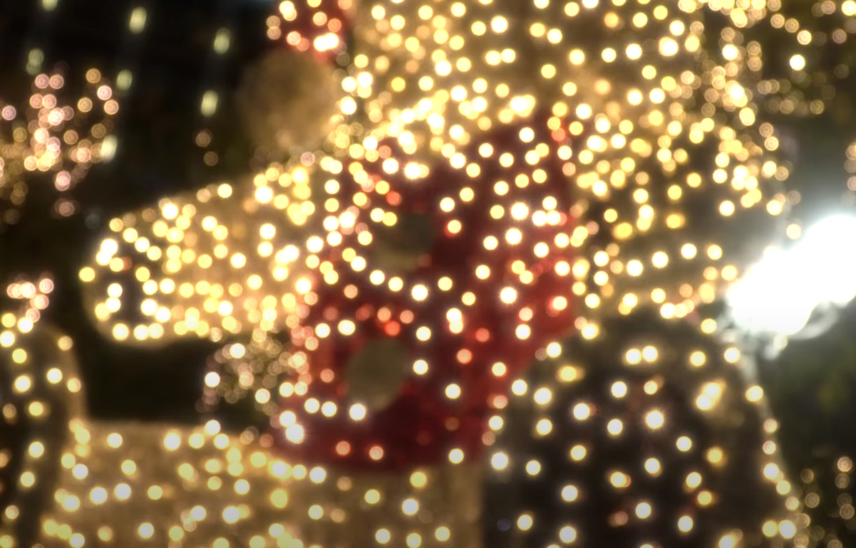 Χριστούγεννα 2023: Βόλτα στην στολισμένη Αθήνα – Βίντεο που ανεβάζει τη γιορτινή διάθεση