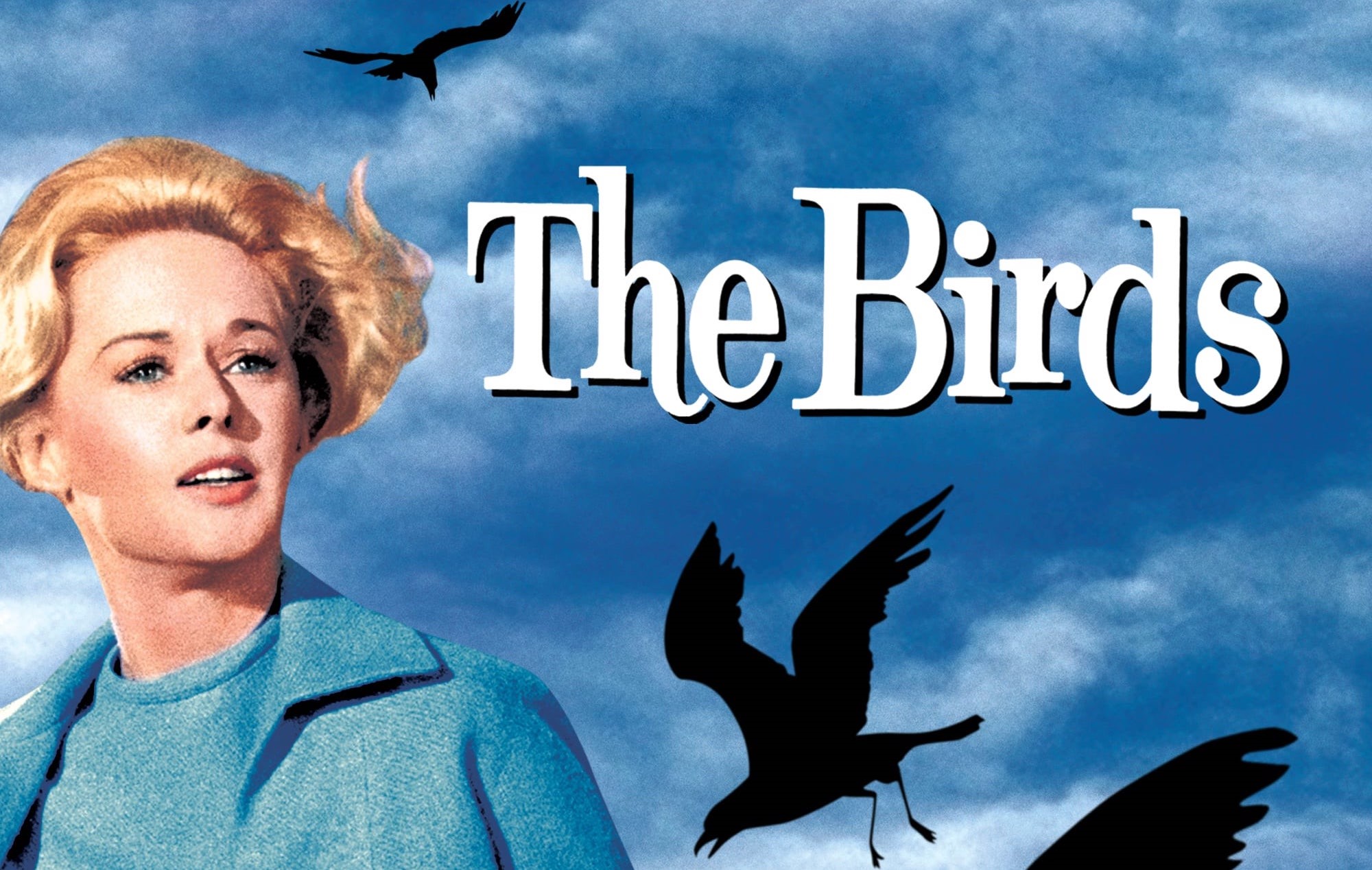 Άλφρεντ Χίτσκοκ: «Τα πουλιά», η ιστορία πίσω από την εμβληματική ταινία και το σκάνδαλο