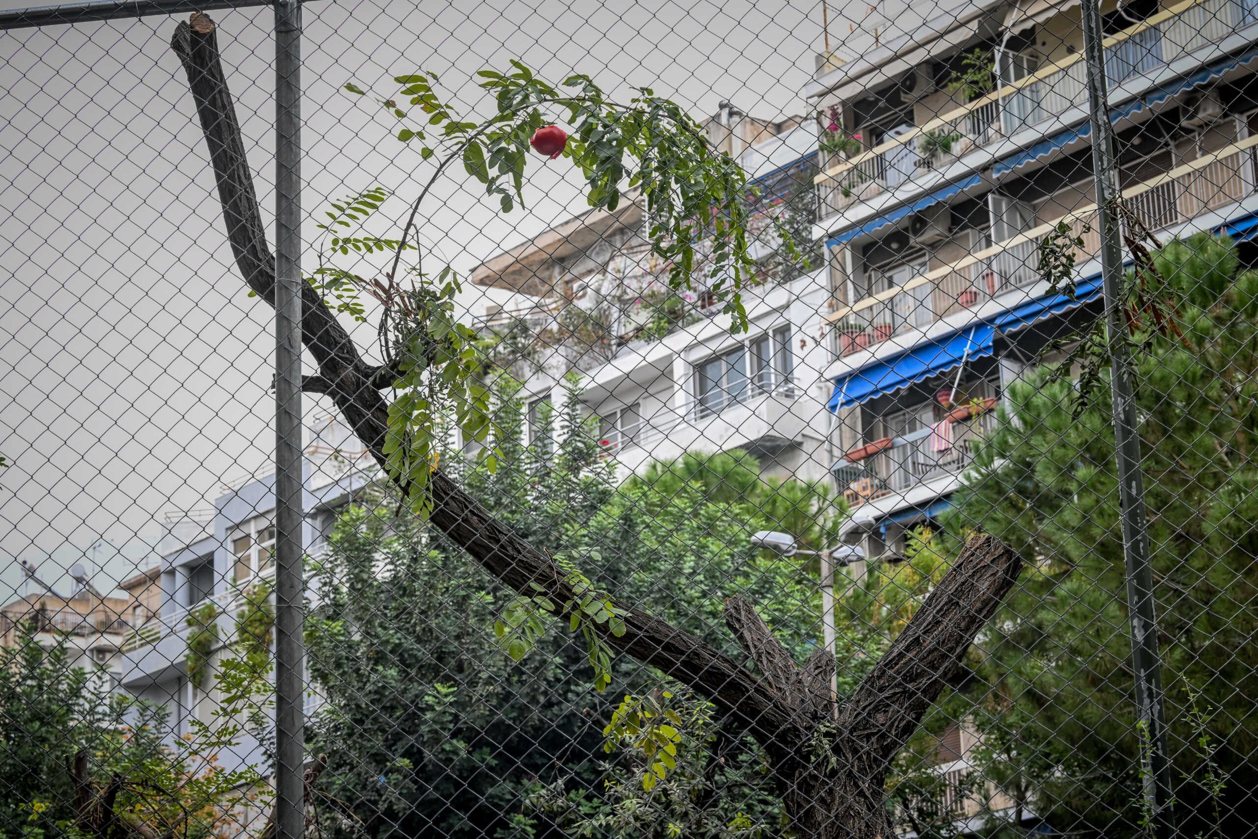 Εξάρχεια: Το υπουργείο Υγείας προειδοποιεί για τα κακόβουλα μηνύματα περί εκκένωσης που θυροκολλήθηκαν σε πολυκατοικίες