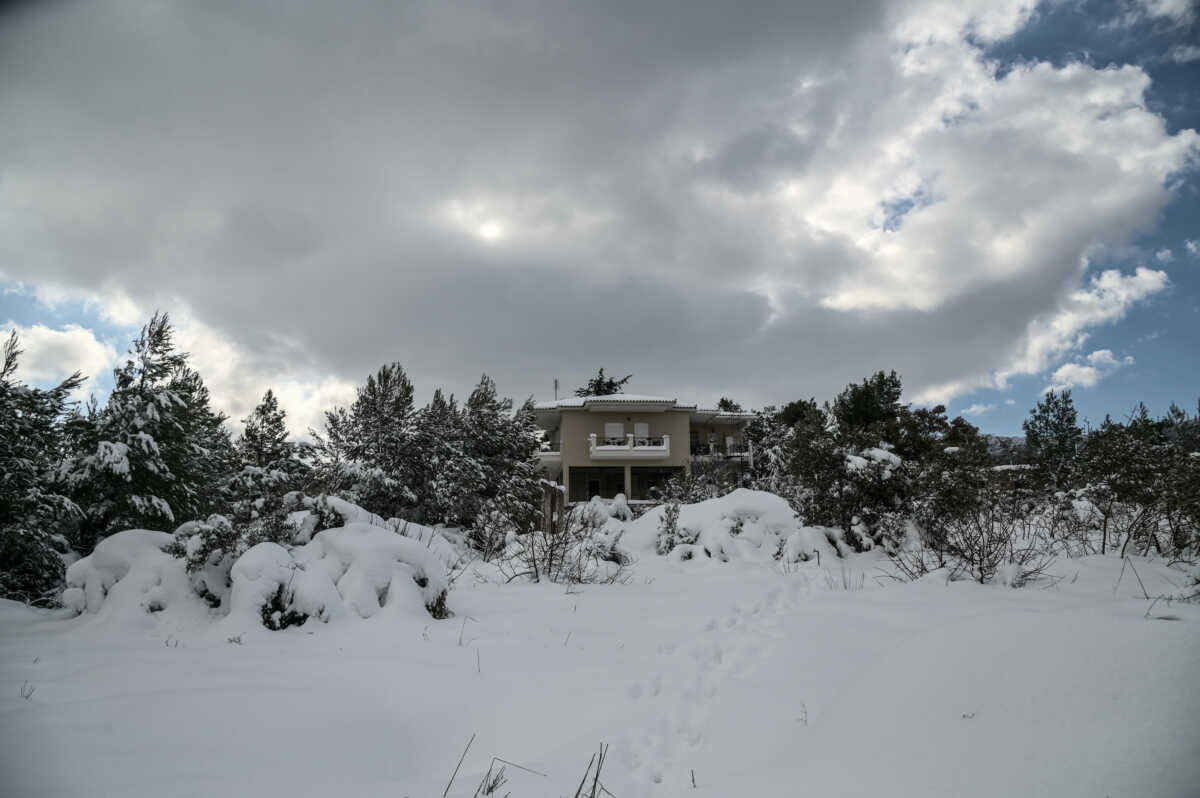 ΚΑΚΟΚΑΙΡΙΑ "ΜΠΑΡΜΠΑΡΑ"- ΧΙΟΝΙΑ ΣΤΗ ΡΟΔΟΠΟΛΗ ΤΟΥ ΔΗΜΟΥ ΔΙΟΝΥΣΟΥ (ΜΙΧΑΛΗΣ ΚΑΡΑΓΙΑΝΝΗΣ