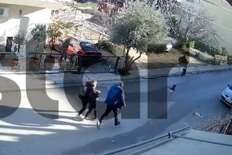 Η στιγμή της επίθεσης του σκύλου στο 9χρονο αγόρι στο Καματερό - Βίντεο ντοκουμέντο