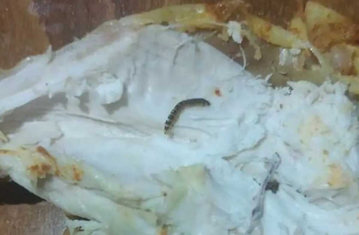 Χανιά: Καταγγέλλει πως βρήκε σκουλήκια μέσα σε αυτό το κοτόπουλο που αγόρασε από σούπερ μάρκετ