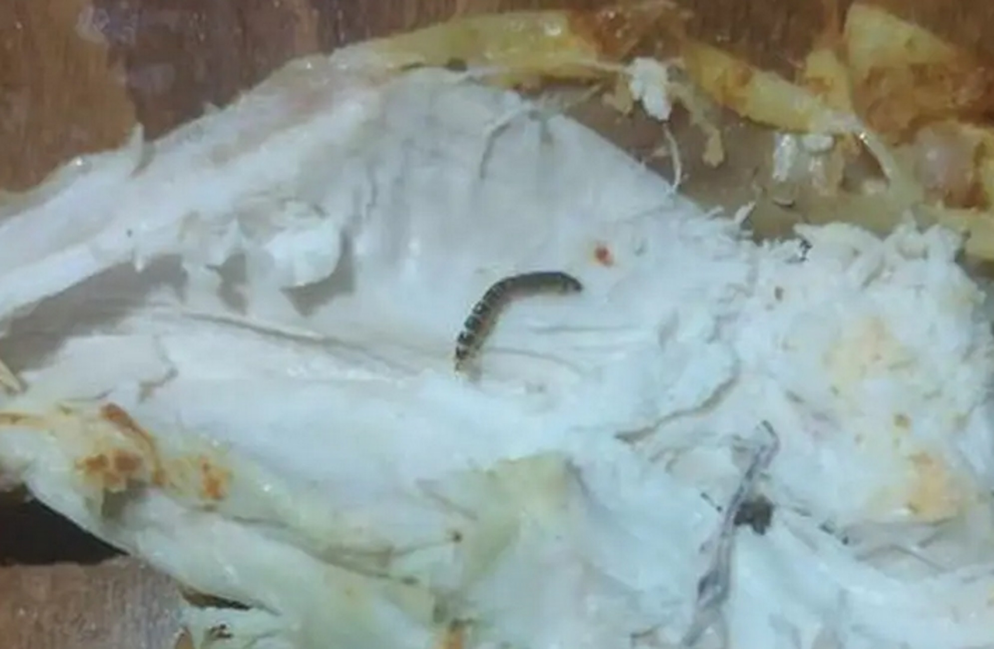 Χανιά: Καταγγέλλει πως βρήκε σκουλήκια μέσα σε αυτό το κοτόπουλο που αγόρασε από σούπερ μάρκετ