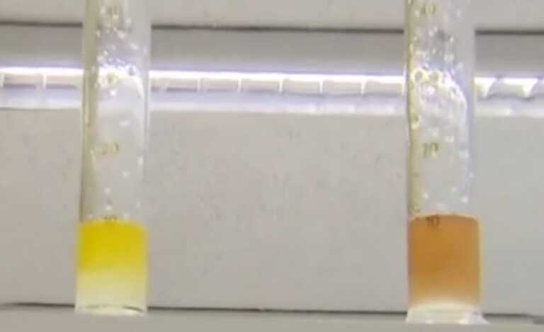 Νοθευμένο ελαιόλαδο με ηλιέλαιο που έχει ήδη τηγανιστεί - Δείτε πώς οι χημικοί ανακαλύπτουν την αλήθεια