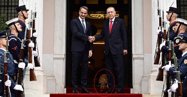 Ο «διπλωμάτης» Peanut στην πρώτη γραμμή της υποδοχής Ερντογάν