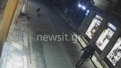 Αράχωβα: Φωτογραφίες ντοκουμέντο με άνδρα σε απόσταση αναπνοής από το χάσκι το βράδυ της επίθεσης