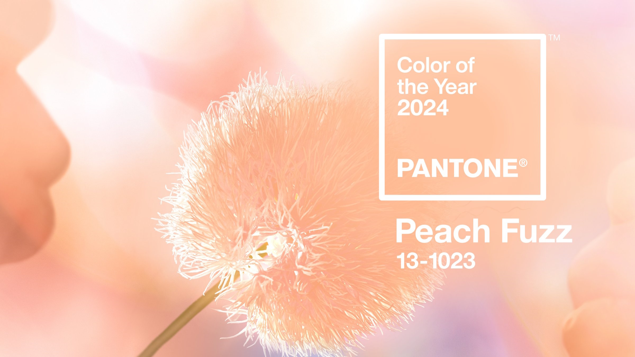 Η Pantone ανακοίνωσε το Peach Fuzz ως το «Χρώμα του 2024»