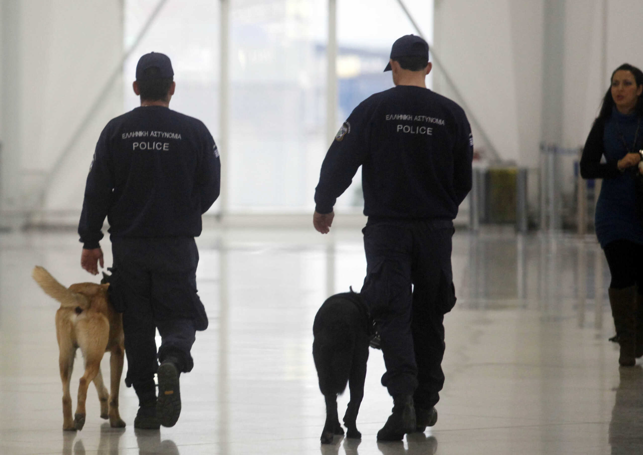 Αλεξανδρούπολη: Επιχείρηση για τον εντοπισμό ναρκωτικών με τη βοήθεια αστυνομικού σκύλου – Μία σύλληψη