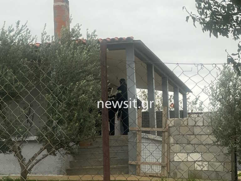 Θεσσαλονίκη: Έρευνες στο σπίτι του 37χρονου, του οποίου τα σκυλιά κατασπάραξαν την 50χρονη