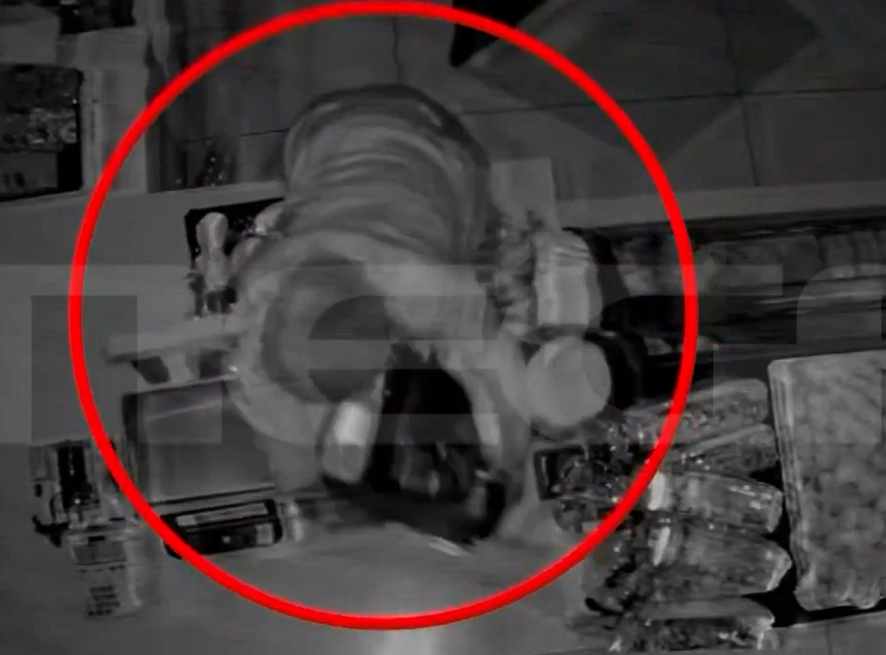Χαλκίδα: Βίντεο ντοκουμέντα με τον «αίλουρο» διαρρήκτη που χτύπησε το ίδιο ζαχαροπλαστείο 5 φορές