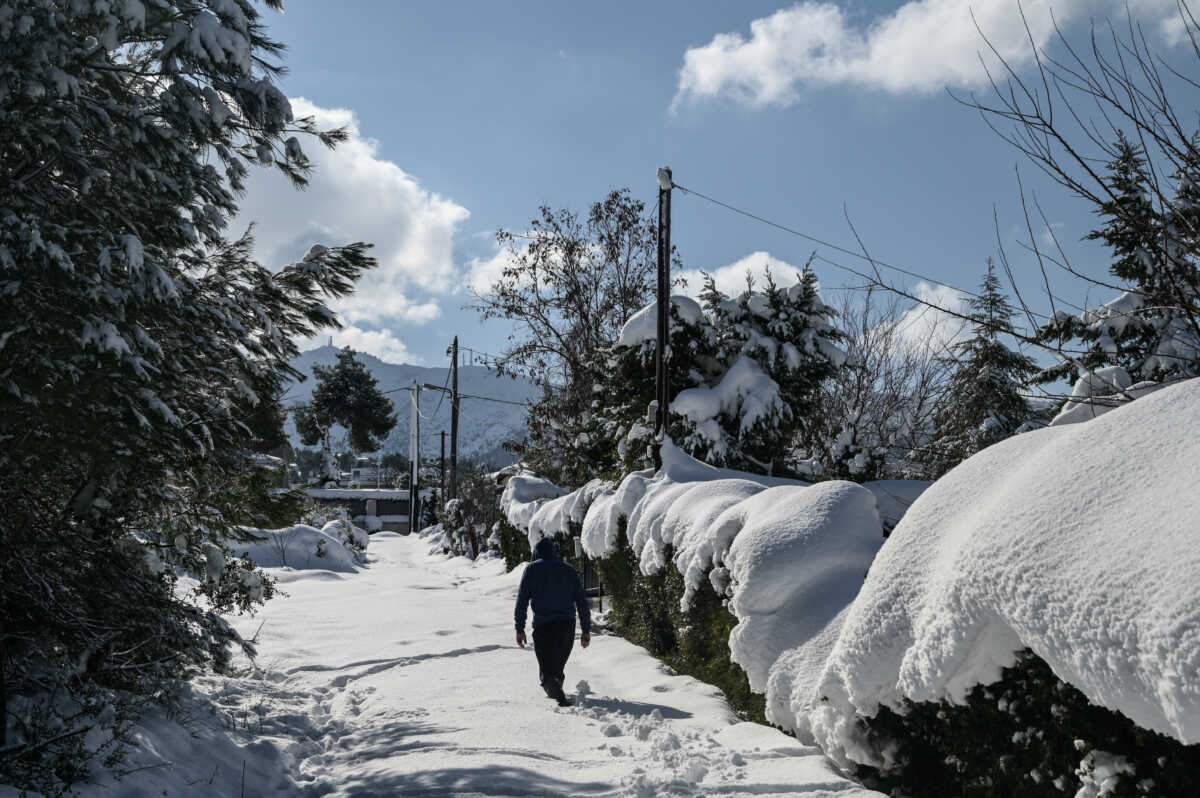 ΚΑΚΟΚΑΙΡΙΑ "ΜΠΑΡΜΠΑΡΑ"- ΧΙΟΝΙΑ ΣΤΗ ΡΟΔΟΠΟΛΗ ΤΟΥ ΔΗΜΟΥ ΔΙΟΝΥΣΟΥ (ΜΙΧΑΛΗΣ ΚΑΡΑΓΙΑΝΝΗΣ