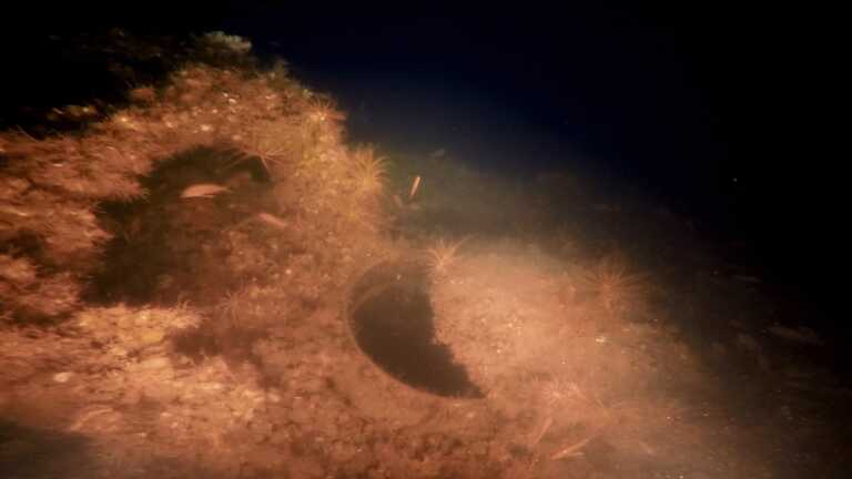 Γαλλικό υποβρύχιο εντοπίστηκε στον βυθό του Θερμαϊκού 106 χρόνια μετά τη βύθισή του - Δείτε τις εικόνες