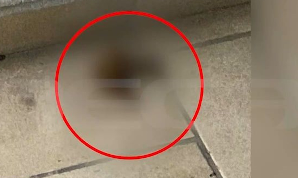 Νέες καταγγελίες για υπάλληλο delivery – Πάρκινγκ πολυκατοικίας στη Νίκαια γέμισε περιττώματα