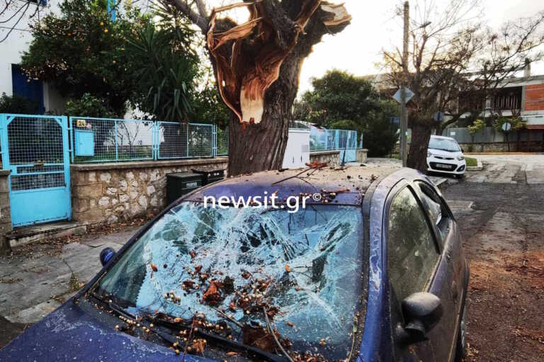 Ισχυρό μπουρίνι έπληξε την Αθήνα - Έπεσαν δέντρα σε Φιλοθέη και Ψυχικό