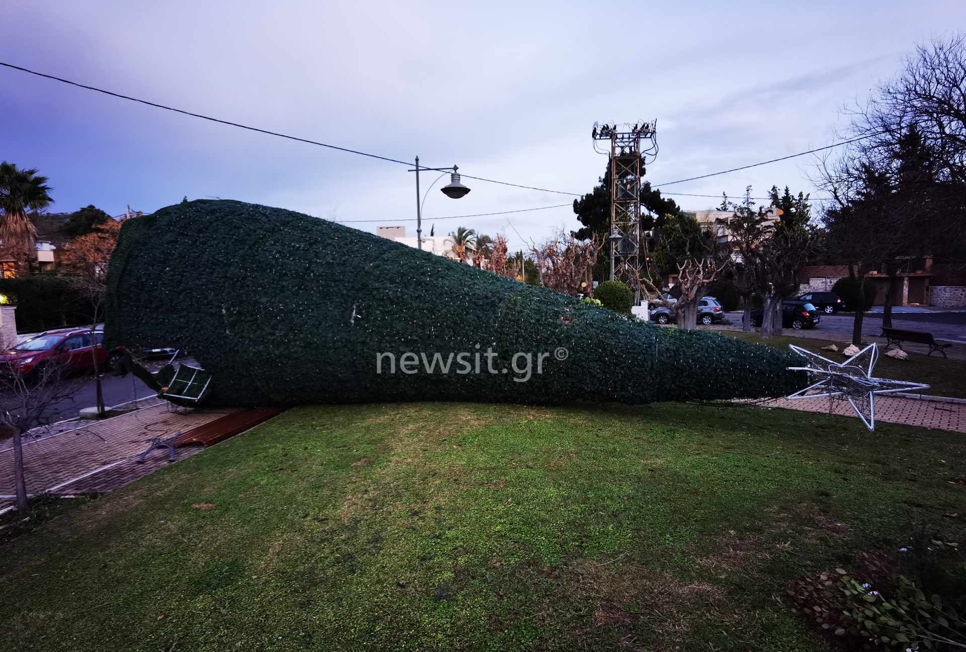 Κακοκαιρία: Πτώσεις δέντρων και κατολισθήσεις σε Αθήνα, Αχαΐα και Θεσσαλονίκη