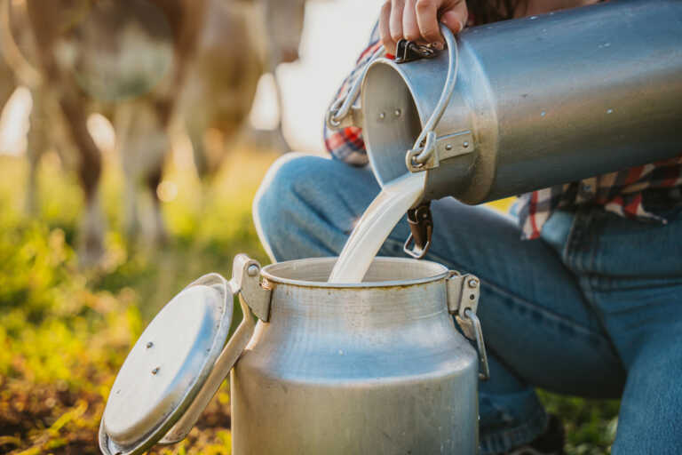 Γάλα: Στο στόχαστρο των ελέγχων διαδρομές από Βουλγαρία, Β. Μακεδονία και Πειραιά