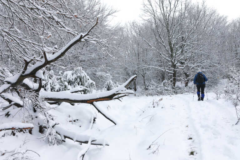 Ο Καλλιάνος προβλέπει χιόνια στην Αττική - «Καταφθάνουν στα βόρεια προάστια»