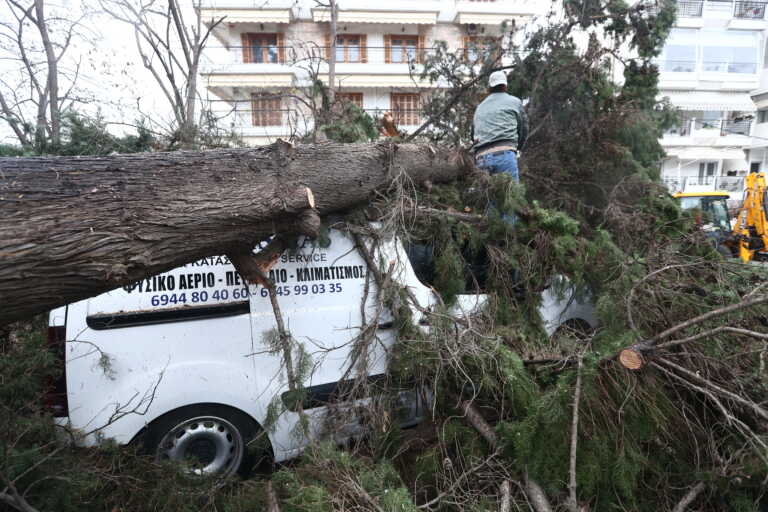 Κλειστά αύριο δύο σχολεία στην Πυλαία Θεσσαλονίκης, λόγω πτώσης δέντρων
