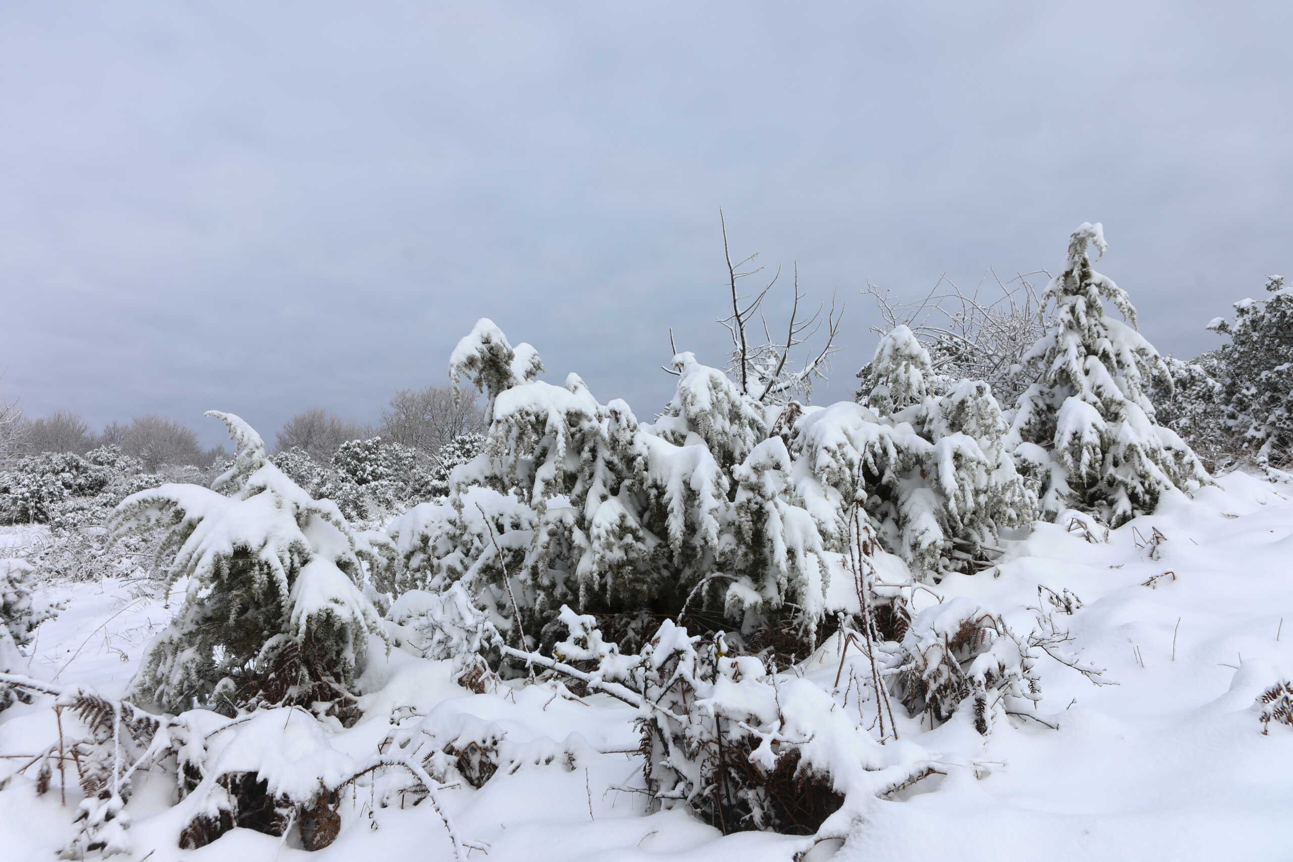 Weather: Snow in all four areas Monday – Cold, windy and stormy through Sunday night